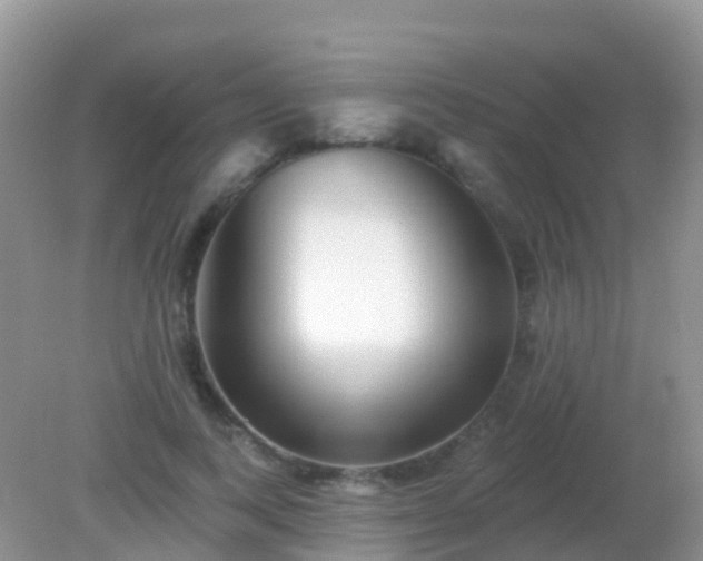 X0000082160743200701262334