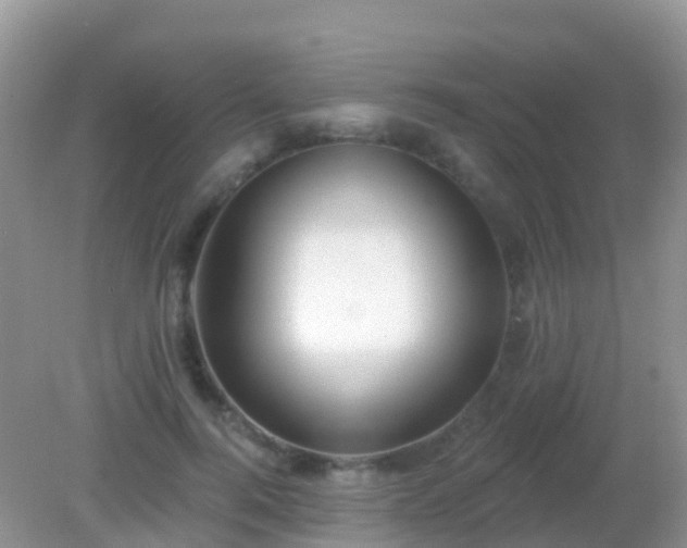 X0000082160744200701262334