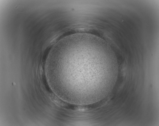X0000082160746200701262334