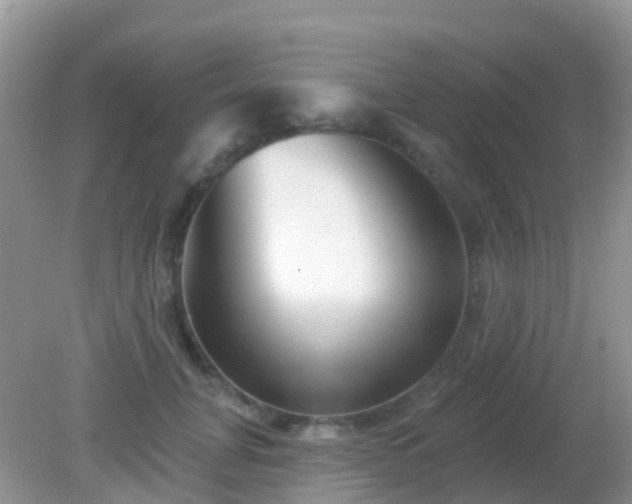 X0000082160751200701262334