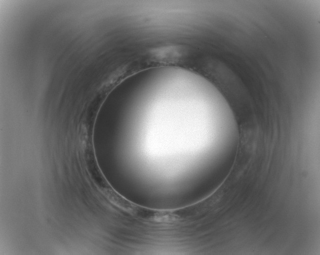 X0000082160752200701262334