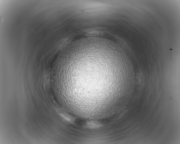 X0000082160753200701262334