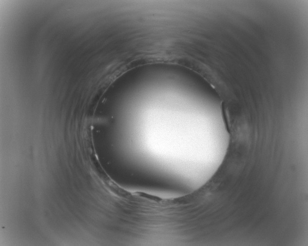 X0000082160764200701262334