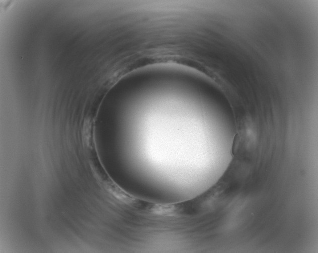 X0000082160767200701262334