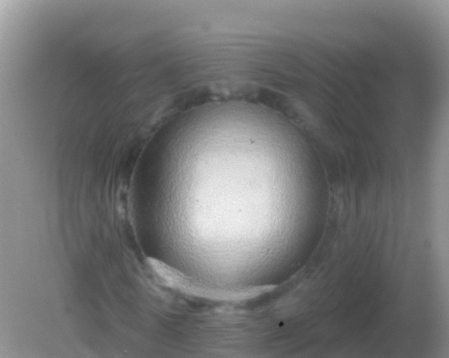 X0000082160770200701262333