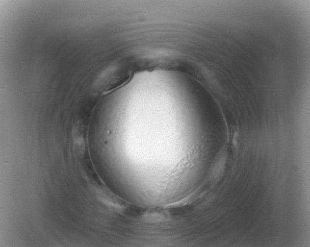 X0000082160771200701262333