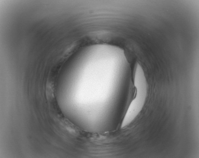 X0000082160772200701262333