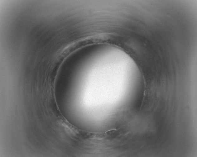 X0000082160773200701262333