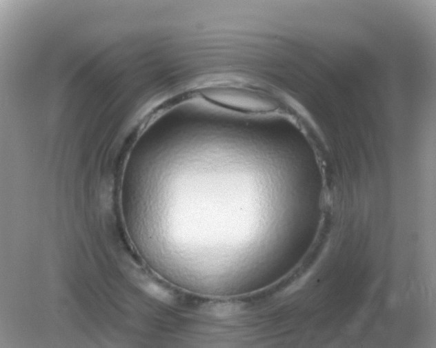 X0000082160778200701262333