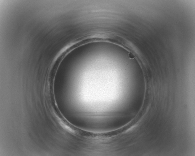 X0000082160779200701262333