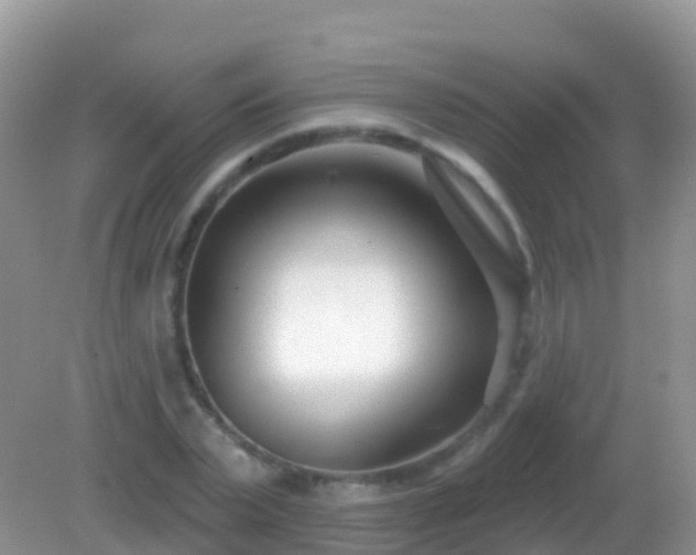 X0000082160783200701262333