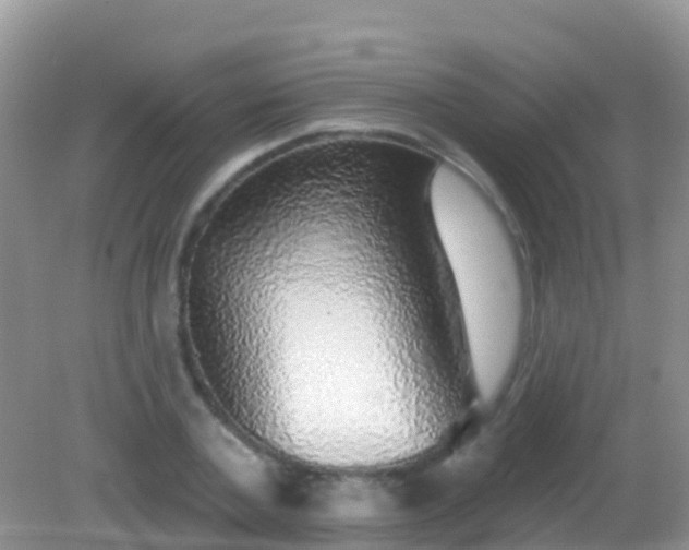 X0000082160787200701262333