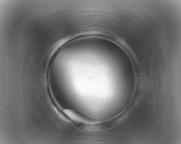 X0000082160789200701262333