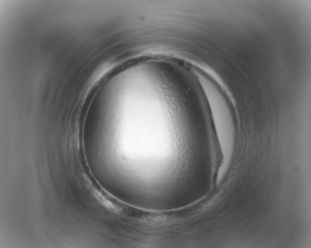 X0000082160791200701262333
