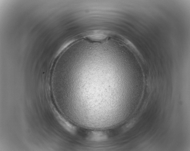 X0000082160794200701262333