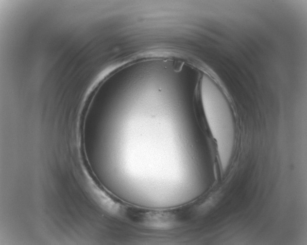 X0000082160795200701262333