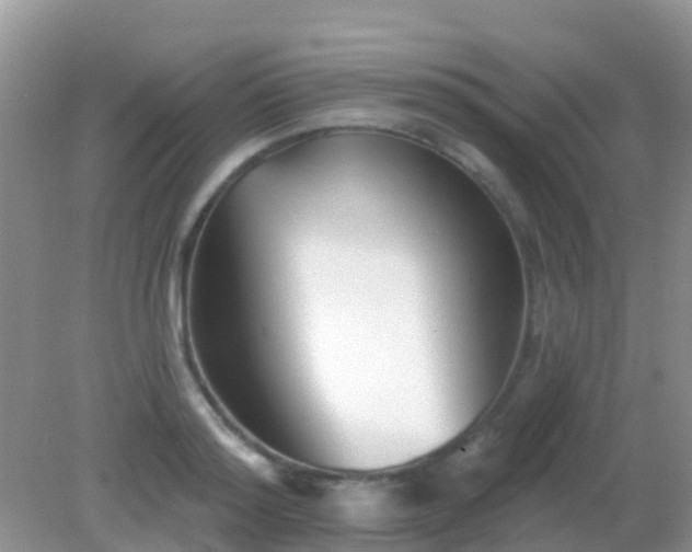 X0000082160796200701262333