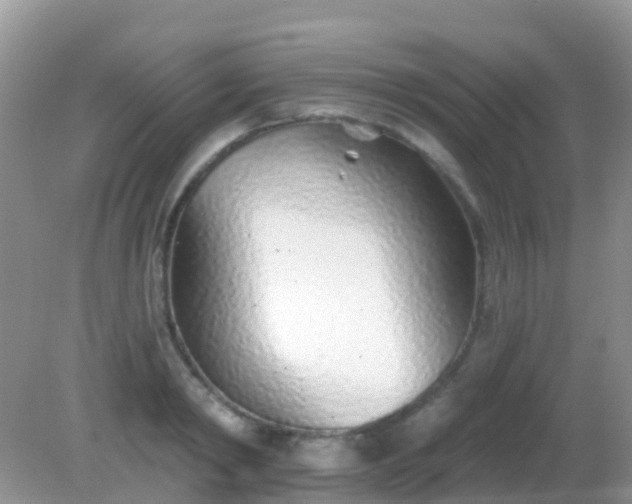 X0000082160798200701262333