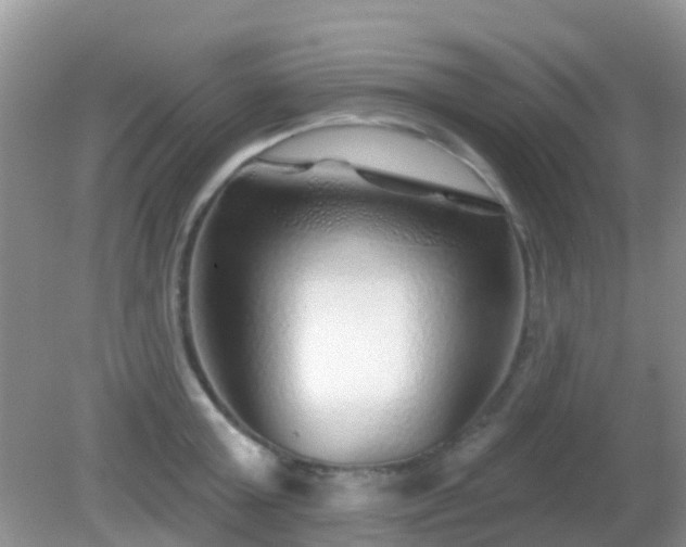 X0000082160803200701262333