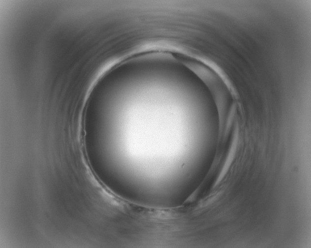 X0000082160815200701262332