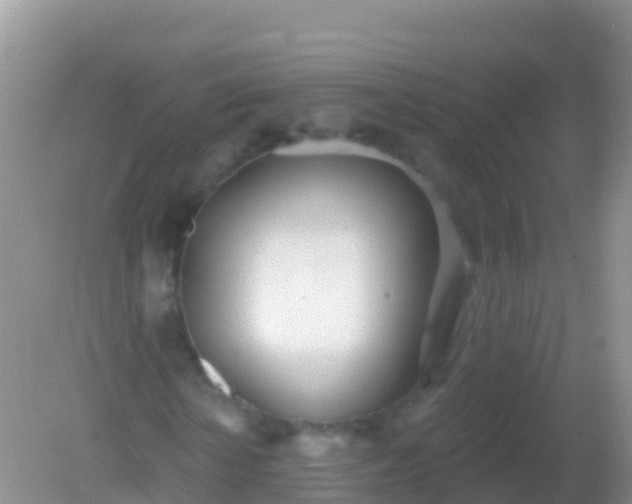 X0000082160818200701262332