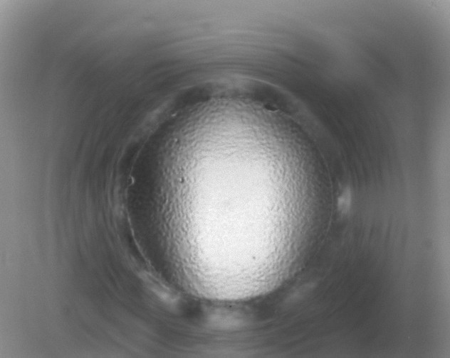 X0000082160819200701262332