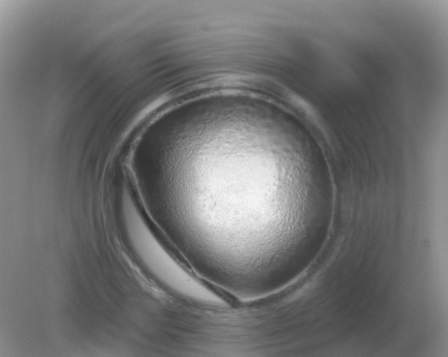 X0000082160827200701262332