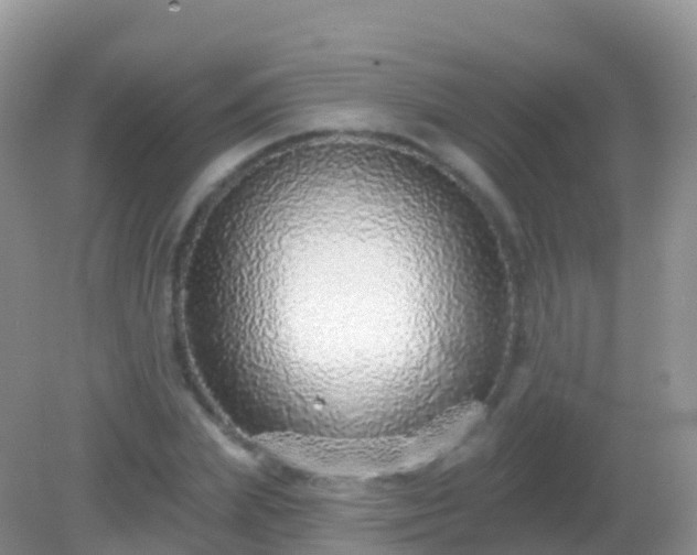 X0000082160831200701262332