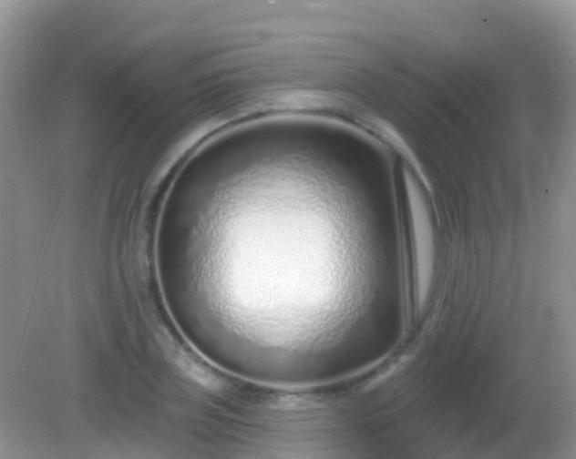 X0000082160835200701262332