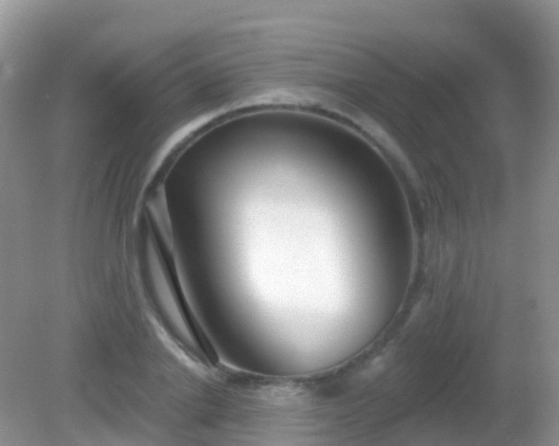 X0000082160838200701262332