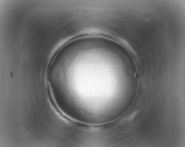 X0000082160839200701262332