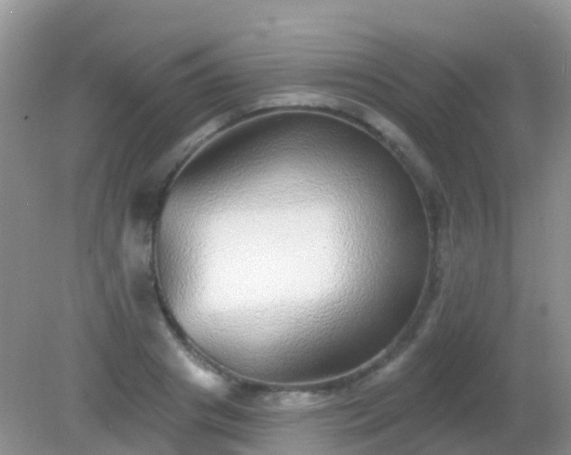 X0000082160841200701262332