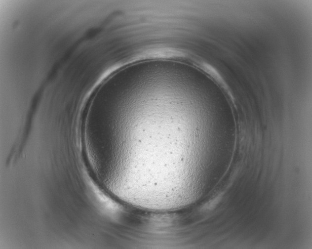 X0000082160843200701262332