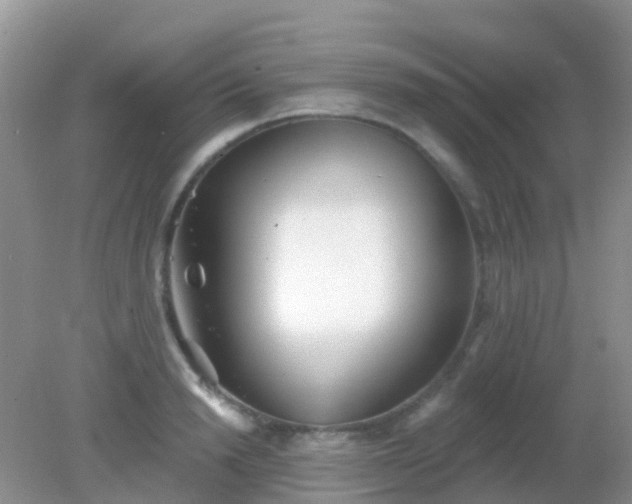 X0000082160846200701262332