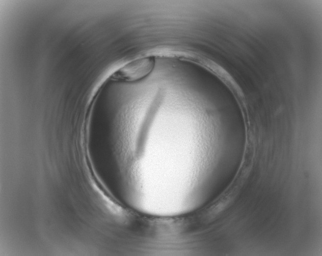 X0000082160855200701262332