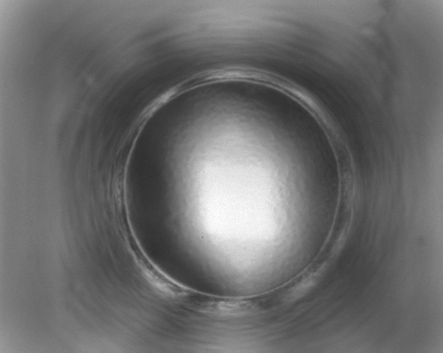 X0000082160857200701262332