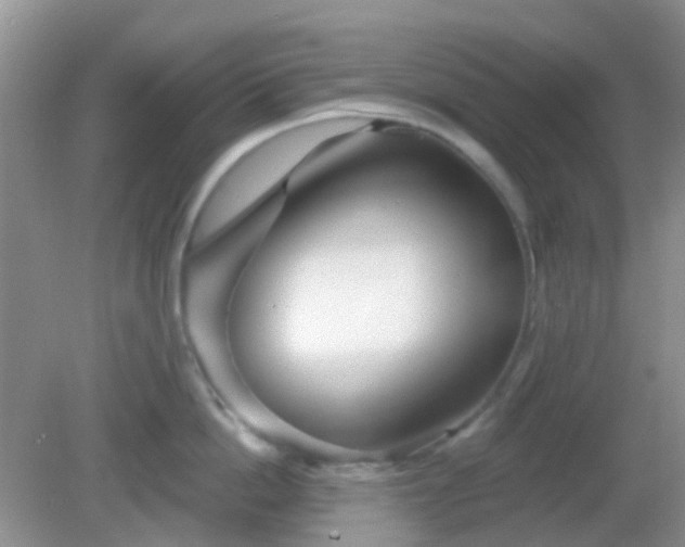 X0000082160862200701262332