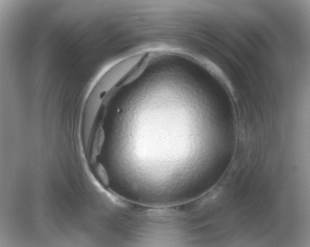 X0000082160863200701262332