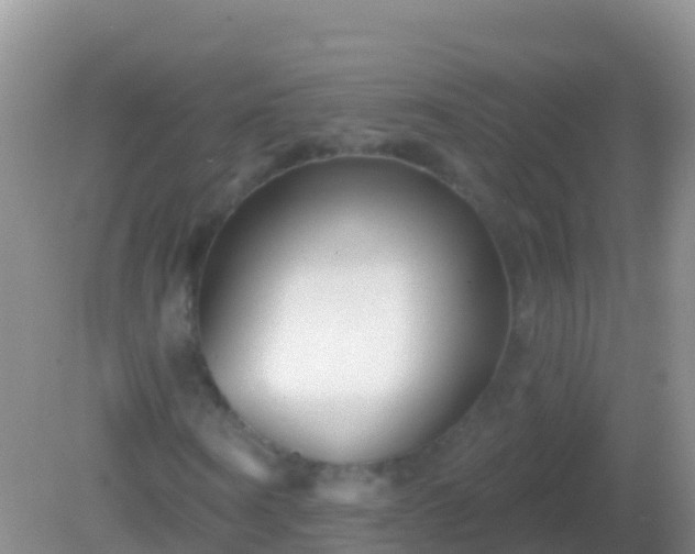 X0000082160866200701262332