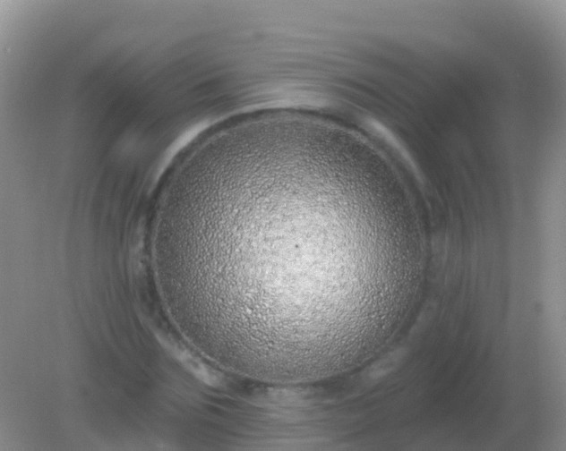 X0000082160875200701262331