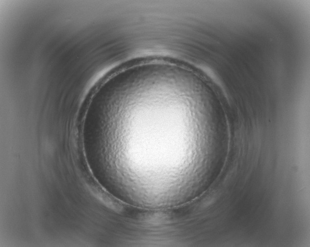X0000082160879200701262331
