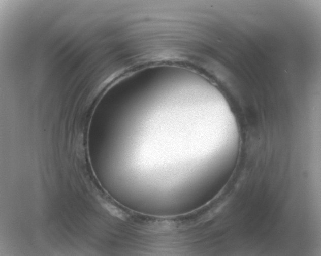 X0000082160881200701262331