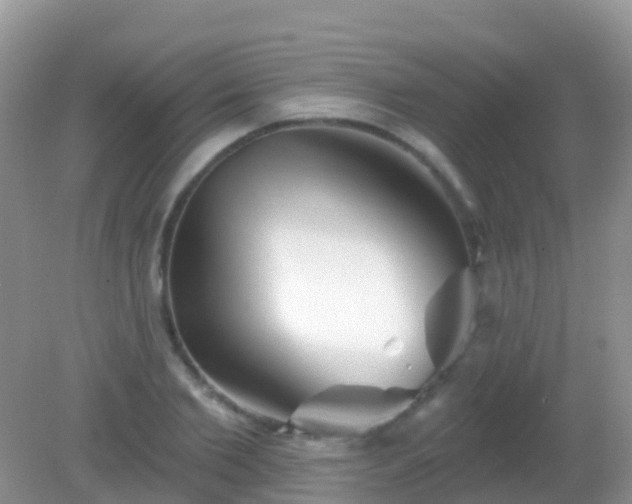 X0000082160885200701262331