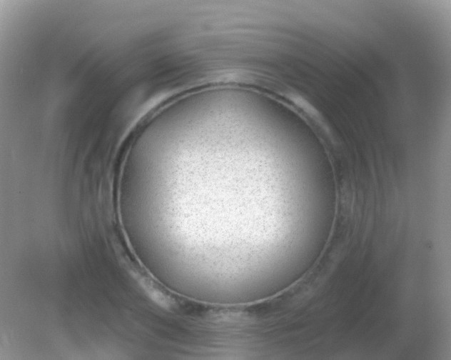 X0000082160886200701262331