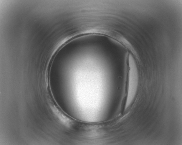 X0000082160892200701262331
