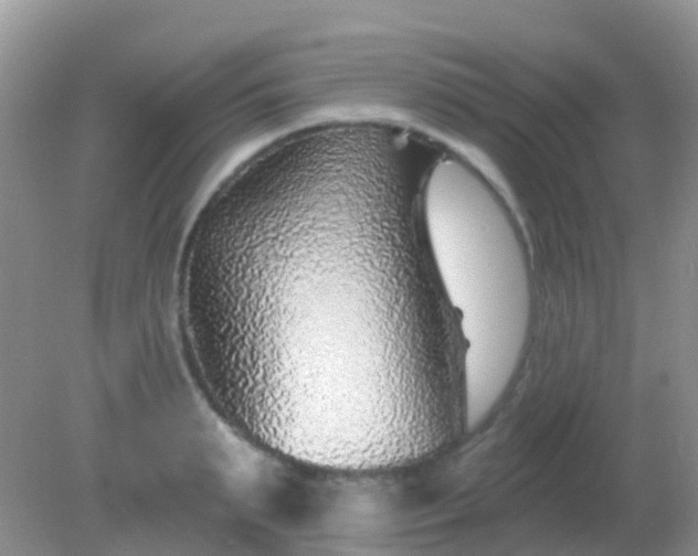 X0000082160895200701262331