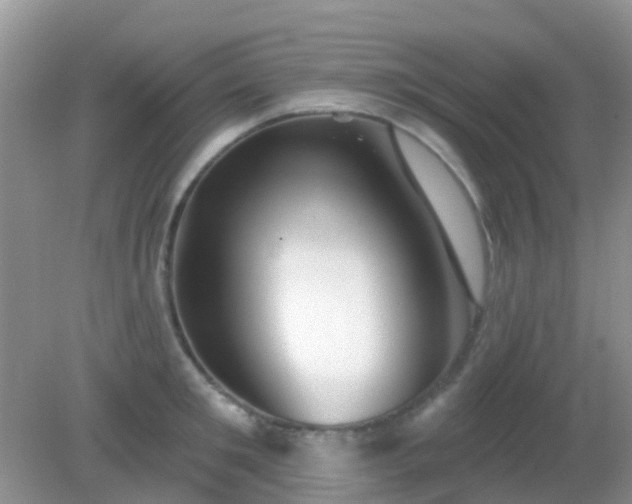 X0000082160901200701262331