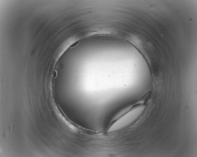 X0000082160906200701262331
