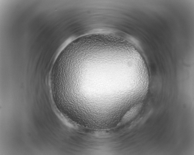 X0000082160907200701262331