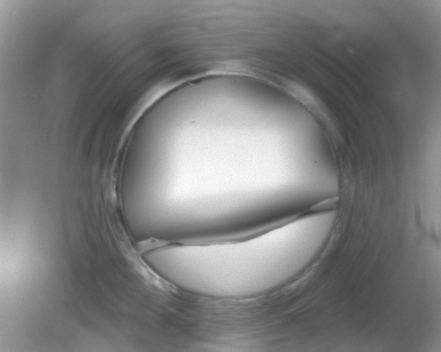 X0000082160908200701262331